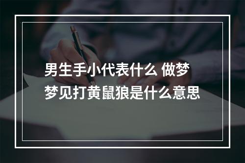 男生手小代表什么 做梦梦见打黄鼠狼是什么意思