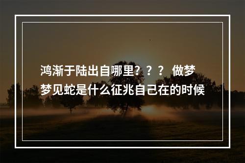 鸿渐于陆出自哪里？？？ 做梦梦见蛇是什么征兆自己在的时候