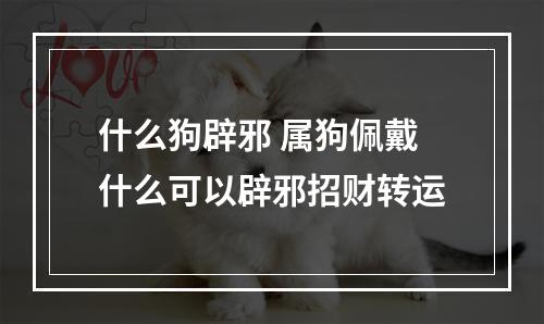 什么狗辟邪 属狗佩戴什么可以辟邪招财转运