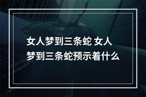 女人梦到三条蛇 女人梦到三条蛇预示着什么