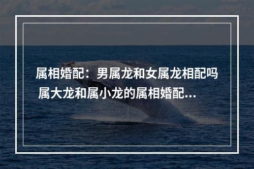 属相婚配：男属龙和女属龙相配吗 属大龙和属小龙的属相婚配吗