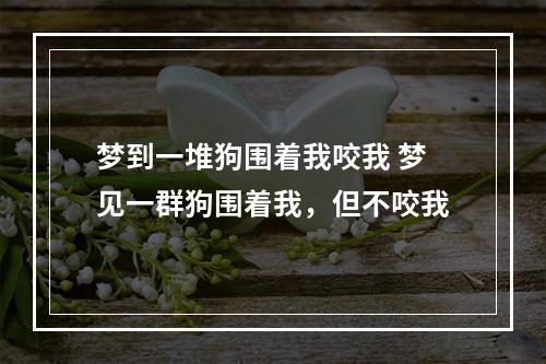 梦到一堆狗围着我咬我 梦见一群狗围着我，但不咬我
