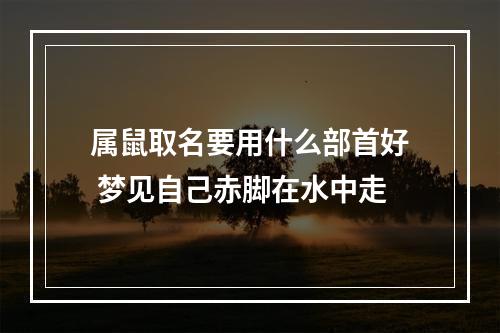 属鼠取名要用什么部首好 梦见自己赤脚在水中走
