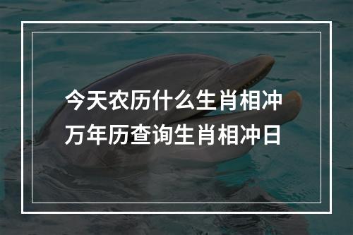 今天农历什么生肖相冲 万年历查询生肖相冲日