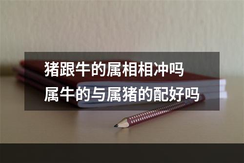 猪跟牛的属相相冲吗 属牛的与属猪的配好吗