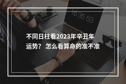 不同日柱看2023年辛丑年运势？ 怎么看算命的准不准