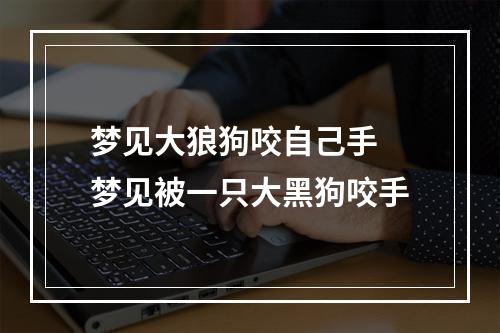 梦见大狼狗咬自己手 梦见被一只大黑狗咬手
