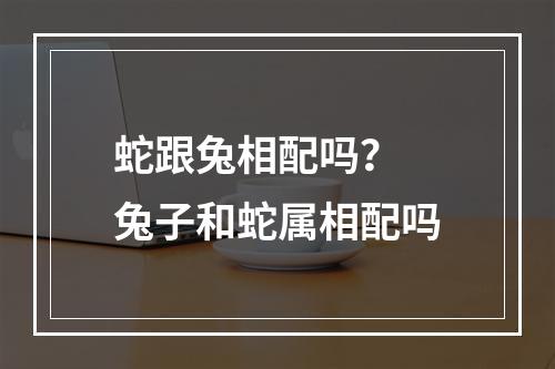 蛇跟兔相配吗？ 兔子和蛇属相配吗