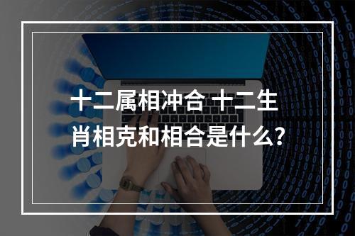 十二属相冲合 十二生肖相克和相合是什么？