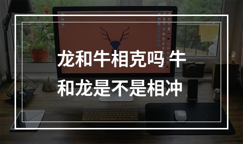 龙和牛相克吗 牛和龙是不是相冲