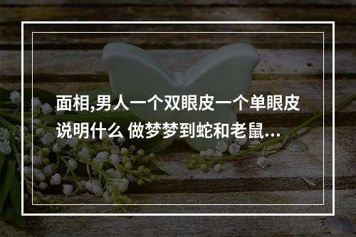 面相,男人一个双眼皮一个单眼皮说明什么 做梦梦到蛇和老鼠是什么意思