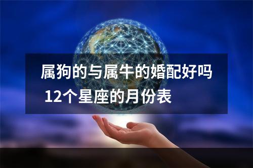 属狗的与属牛的婚配好吗 12个星座的月份表