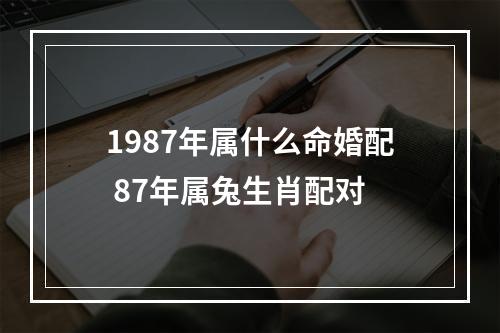 1987年属什么命婚配 87年属兔生肖配对