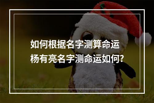 如何根据名字测算命运 杨有亮名字测命运如何?