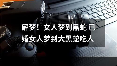 解梦！女人梦到黑蛇 已婚女人梦到大黑蛇吃人