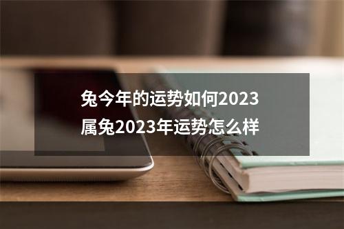 兔今年的运势如何2023 属兔2023年运势怎么样
