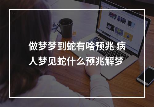 做梦梦到蛇有啥预兆 病人梦见蛇什么预兆解梦