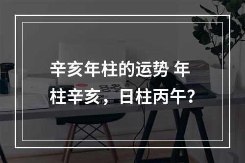 辛亥年柱的运势 年柱辛亥，日柱丙午？
