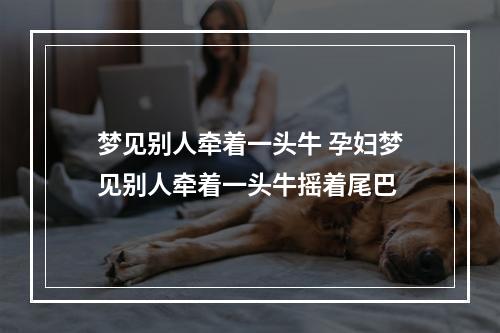 梦见别人牵着一头牛 孕妇梦见别人牵着一头牛摇着尾巴