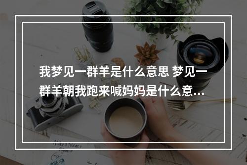 我梦见一群羊是什么意思 梦见一群羊朝我跑来喊妈妈是什么意思