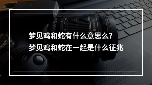 梦见鸡和蛇有什么意思么？ 梦见鸡和蛇在一起是什么征兆