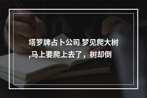 塔罗牌占卜公司 梦见爬大树,马上要爬上去了，树却倒
