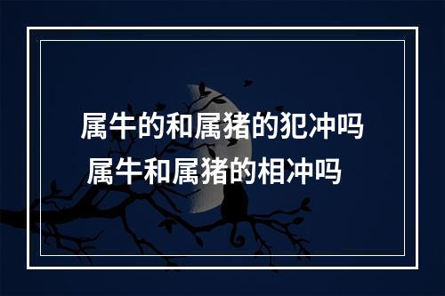 属牛的和属猪的犯冲吗 属牛和属猪的相冲吗