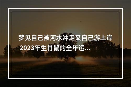 梦见自己被河水冲走又自己游上岸 2023年生肖鼠的全年运势
