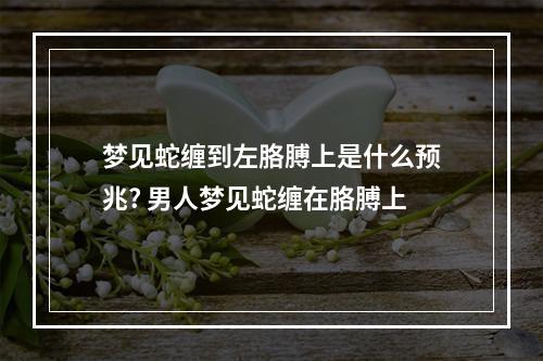 梦见蛇缠到左胳膊上是什么预兆? 男人梦见蛇缠在胳膊上