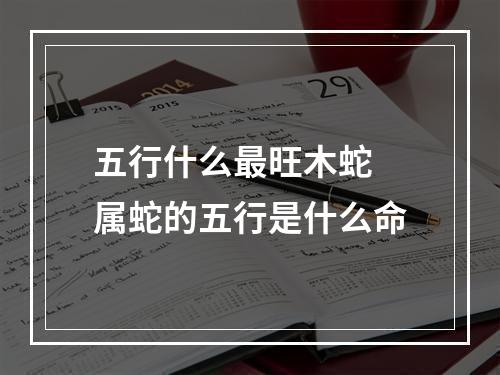 五行什么最旺木蛇 属蛇的五行是什么命