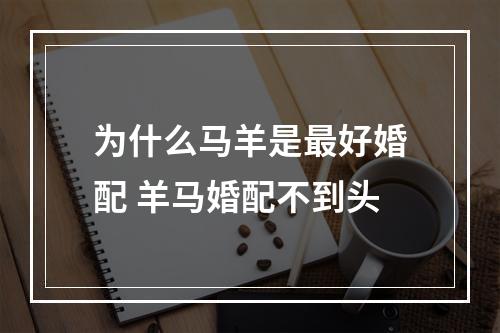 为什么马羊是最好婚配 羊马婚配不到头