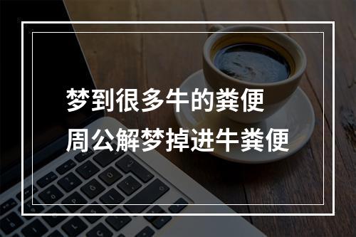 梦到很多牛的粪便 周公解梦掉进牛粪便