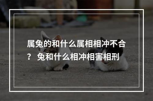 属兔的和什么属相相冲不合？ 兔和什么相冲相害相刑