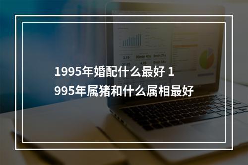1995年婚配什么最好 1995年属猪和什么属相最好