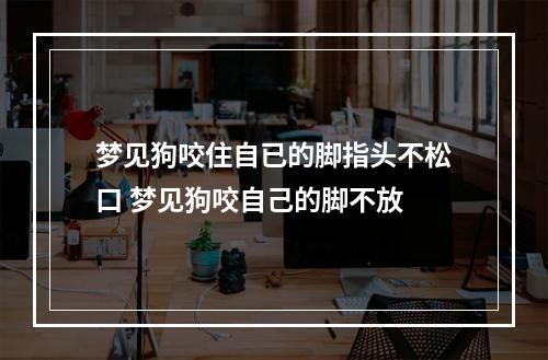 梦见狗咬住自已的脚指头不松口 梦见狗咬自己的脚不放