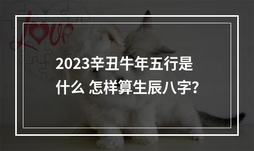 2023辛丑牛年五行是什么 怎样算生辰八字？