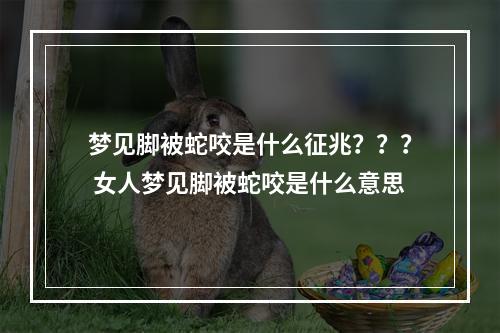 梦见脚被蛇咬是什么征兆？？？ 女人梦见脚被蛇咬是什么意思