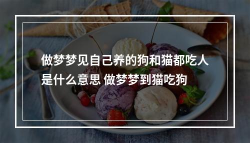 做梦梦见自己养的狗和猫都吃人是什么意思 做梦梦到猫吃狗