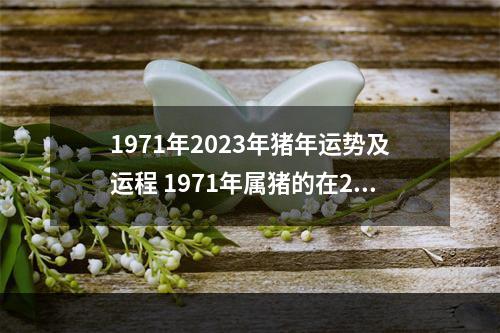 1971年2023年猪年运势及运程 1971年属猪的在2023年好不好