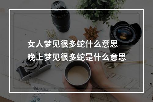 女人梦见很多蛇什么意思 晚上梦见很多蛇是什么意思