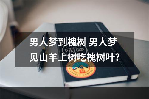 男人梦到槐树 男人梦见山羊上树吃槐树叶？