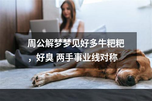 周公解梦梦见好多牛粑粑，好臭 两手事业线对称