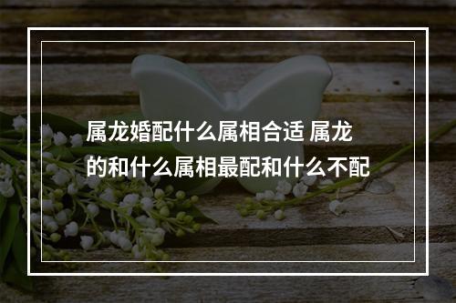 属龙婚配什么属相合适 属龙的和什么属相最配和什么不配