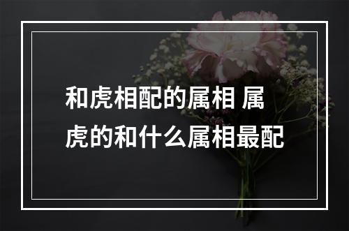 和虎相配的属相 属虎的和什么属相最配