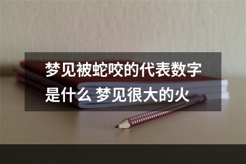 梦见被蛇咬的代表数字是什么 梦见很大的火
