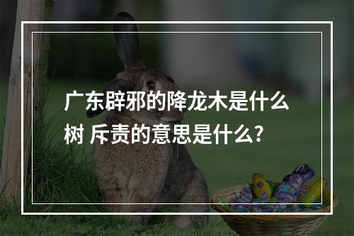 广东辟邪的降龙木是什么树 斥责的意思是什么?