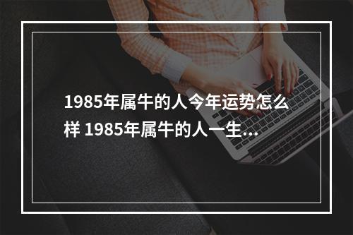 1985年属牛的人今年运势怎么样 1985年属牛的人一生财运如何？