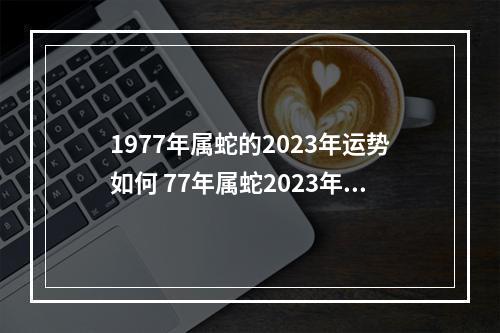 1977年属蛇的2023年运势如何 77年属蛇2023年的运程