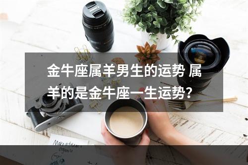 金牛座属羊男生的运势 属羊的是金牛座一生运势？