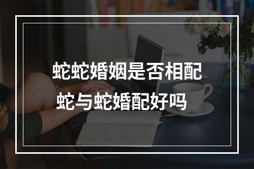 蛇蛇婚姻是否相配 蛇与蛇婚配好吗